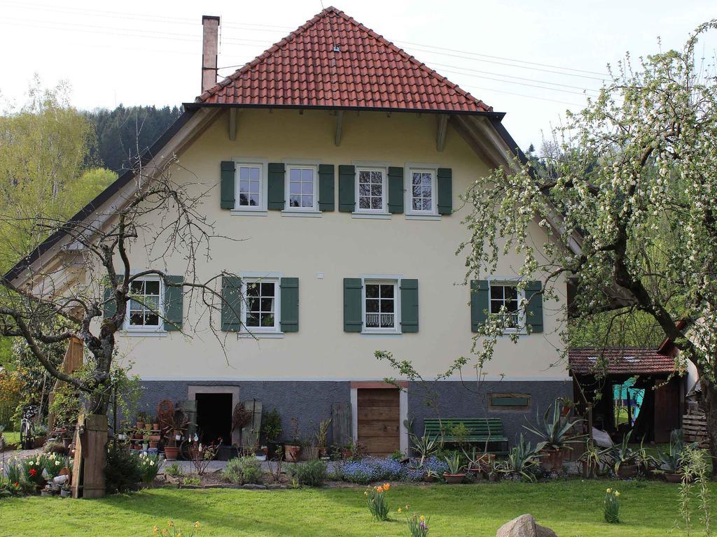 Haus Am Bach Appartement Steinach  Buitenkant foto