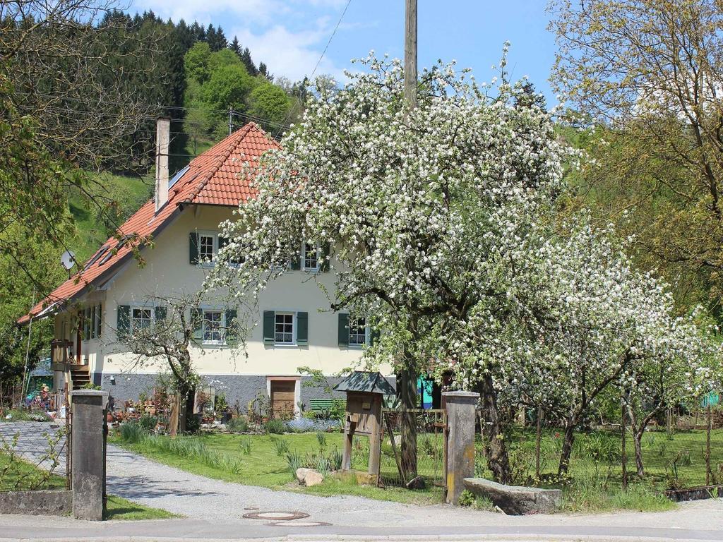 Haus Am Bach Appartement Steinach  Buitenkant foto